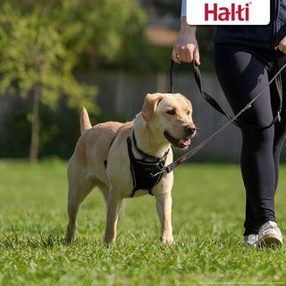 The Company of Animals Halti No Pull Harness For Dogs (Medium)