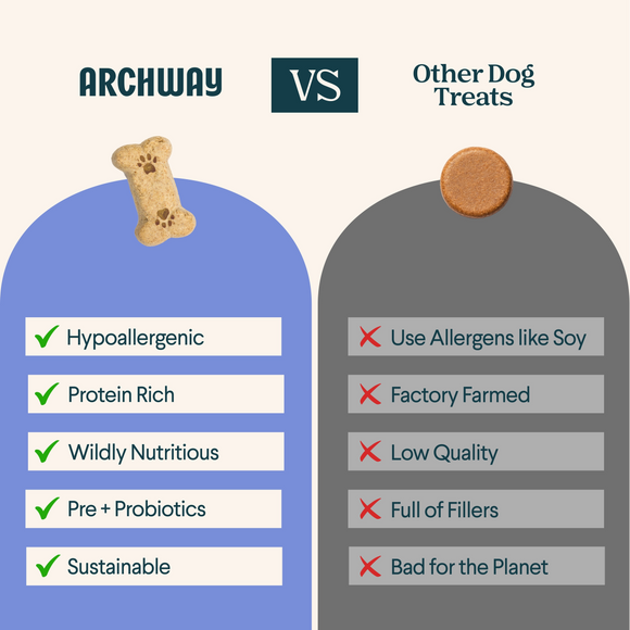 Archway Better Biscuit Peanut Butter Crunchy Dog Treats, 5-oz