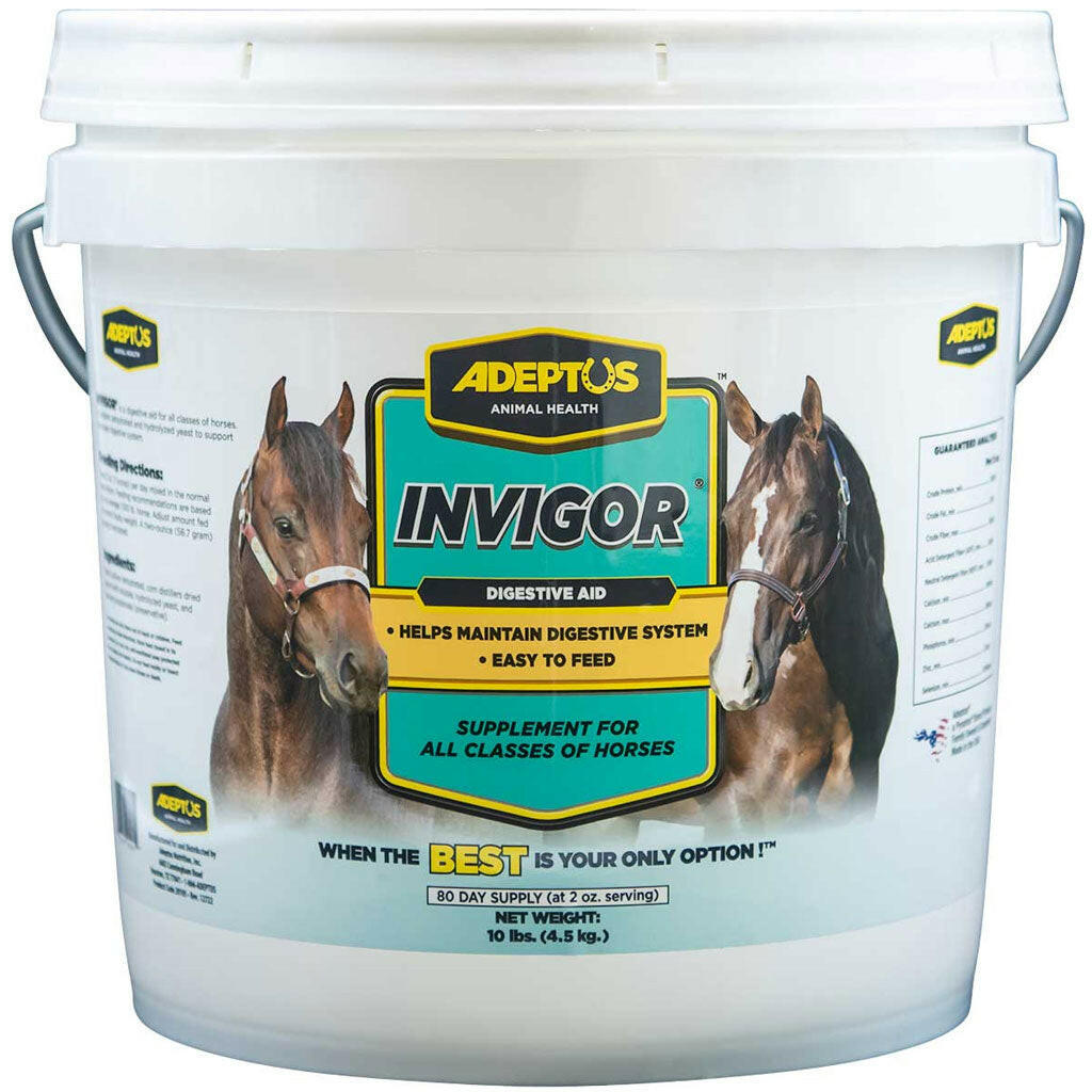 invigor is formulated with prebiotics for horses