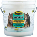 invigor is formulated with prebiotics for horses