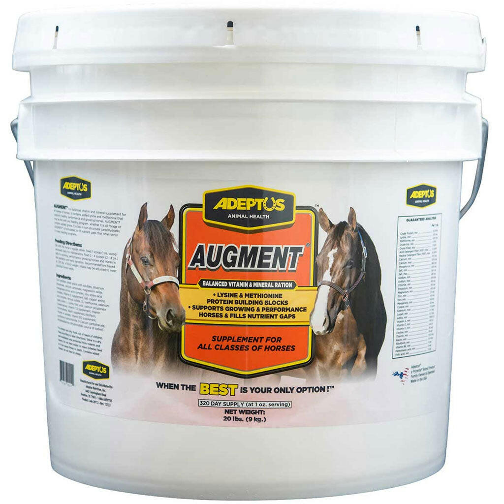 Equine ration balancer