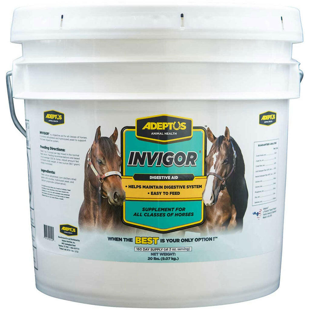 best digestive aid for horses