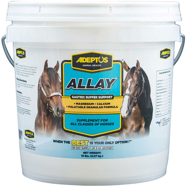 horse digestive supplement 10lbs