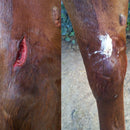 Redmond 8 oz Hydrated Clay Tube Against White Backdrop