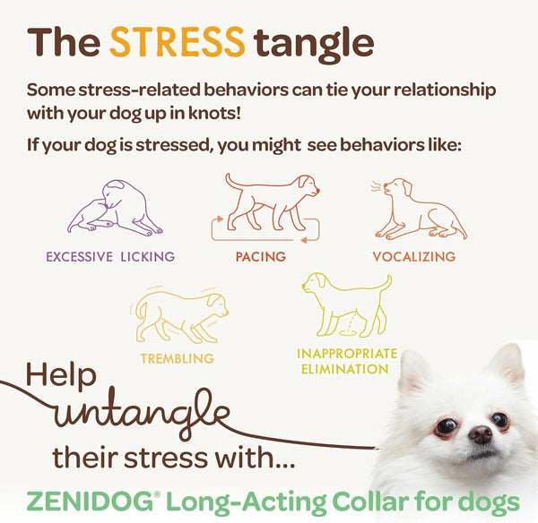 Long-lasting Zenidog collar for dogs 22-110 lbs