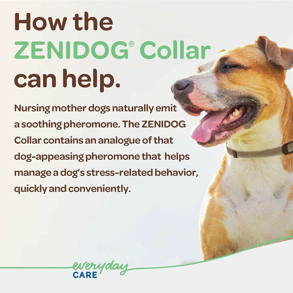 Zenidog calming dog collar contains an analogue of dog appeasing pheromones that help manage stress-related behavior