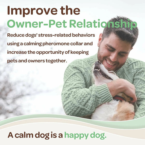 This calming collar for dogs can improve your relationship with your dog by keeping your friend calm and happy