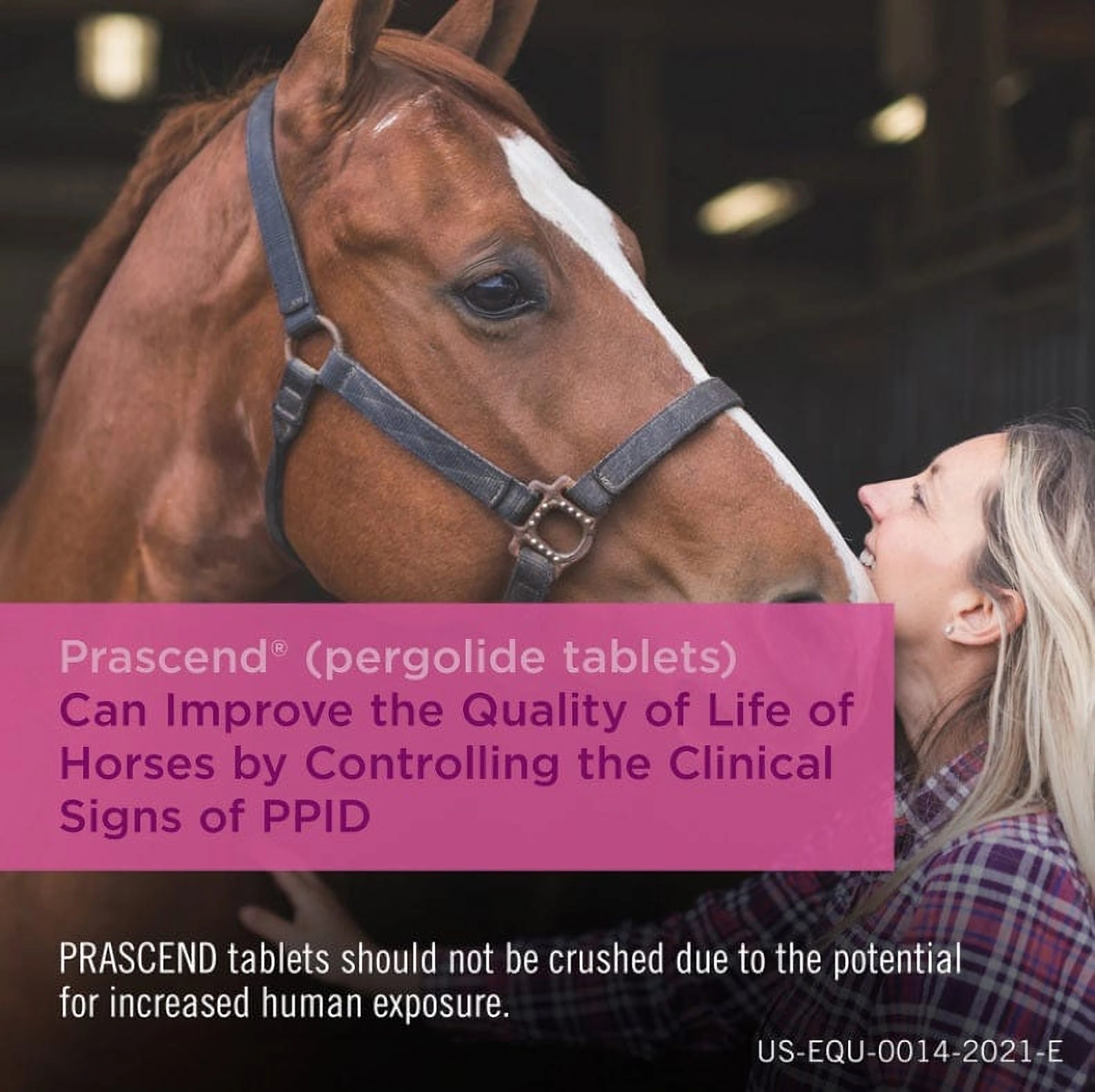 A veterinarian discussing Prascend treatment with a horse owner