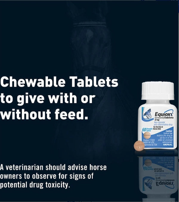 Equioxx (firocoxib) chewable tablets, can be administered with or without horse feed