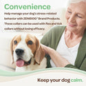 Zenidog collar to maintain calmness in dogs