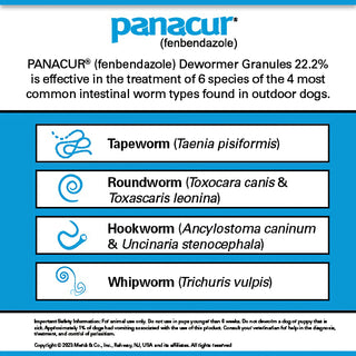 Box of Panacur C Canine Dewormer for treating worms in dogs, 4-gram dose
