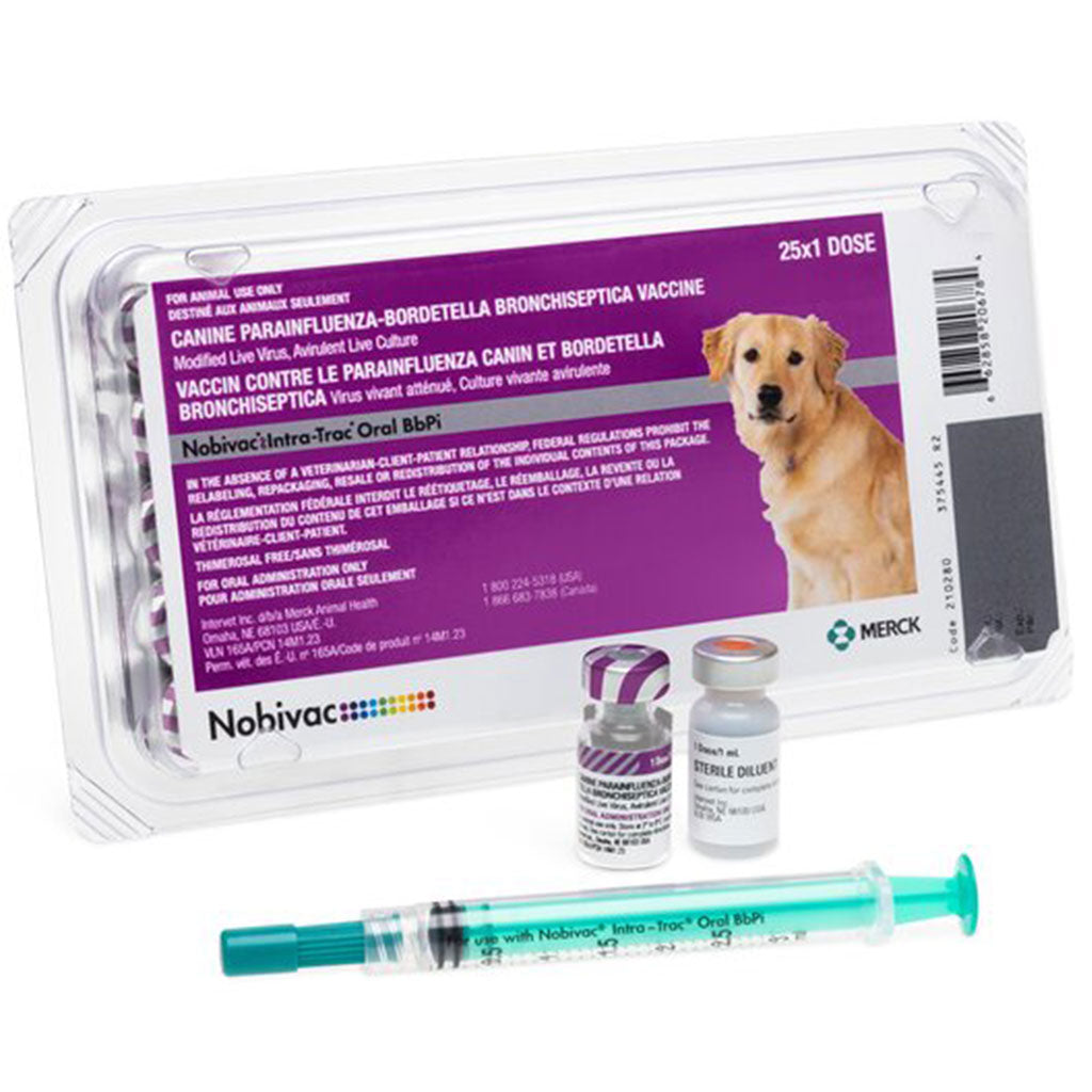 Nobivac Intra-Trac Oral BbP Vaccine for Dogs, 25 Doses