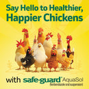 Cartoon chickens with text 'Say Hello to Healthier, Happier Chickens with safe-guard AquaSol' on a yellow background