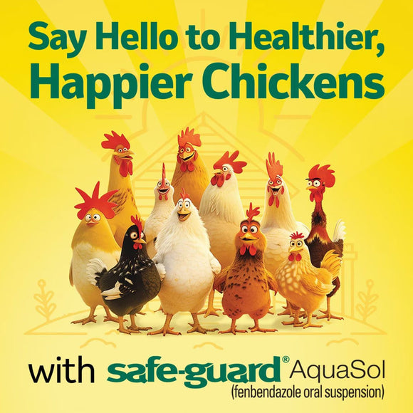 Cartoon chickens with text 'Say Hello to Healthier, Happier Chickens with safe-guard AquaSol' on a yellow background
