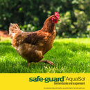 Chicken walking on grass with Safe-Guard AquaSol branding at the bottom.