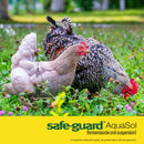 Two chickens in a grassy field with safe-guard AquaSol branding at the bottom.