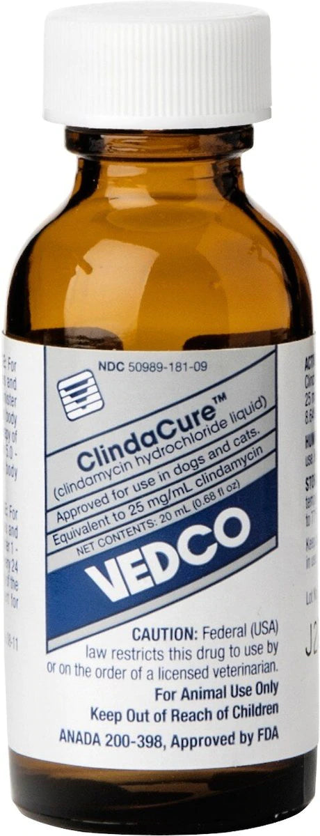 ClindaCure (Clindamycin Hydrochloride) Oral Drops for Dogs & Cats, 20 mL, 25 mg/mL