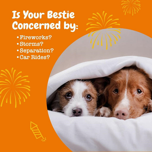 Zesty Paws Calming Bites Peanut Butter Flavored Chews for Dogs (90 ct)