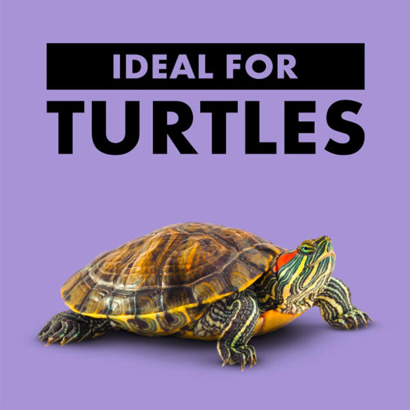 Zilla Basking Platform Ramps Corner