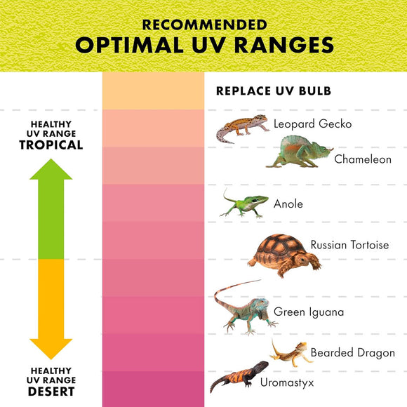 Zilla Rapid Sense UV Detecting Decor Poplar Log