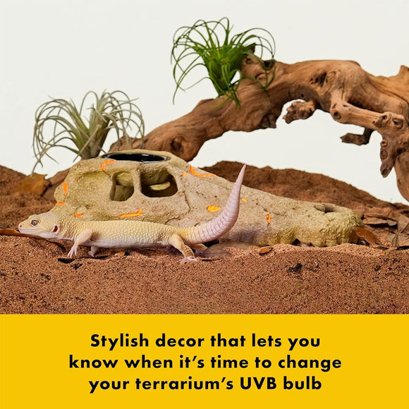 Zilla Rapid Sense UV Detecting Decor Crocodile Skull