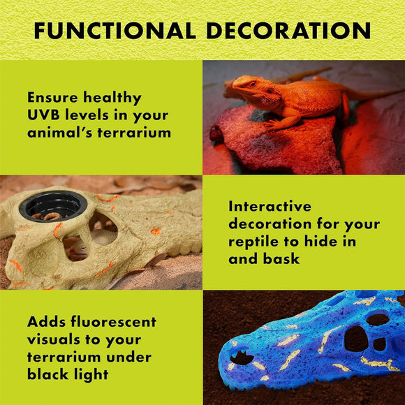 Zilla Rapid Sense UV Detecting Decor Crocodile Skull