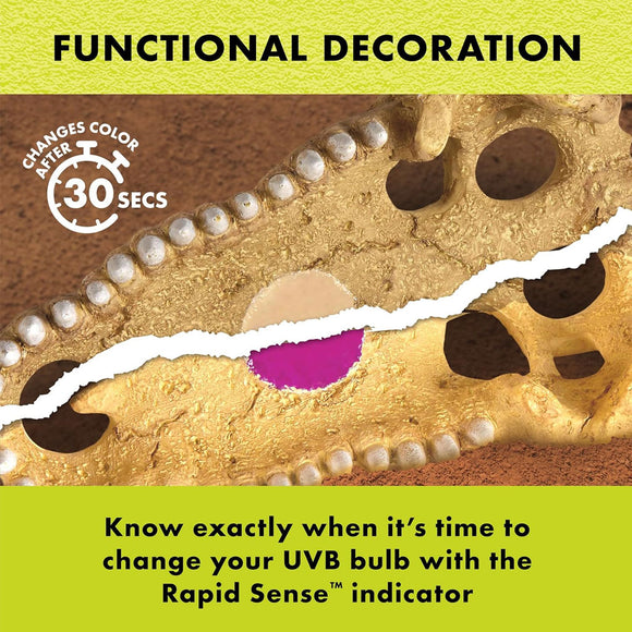 Zilla Rapid Sense UV Detecting Decor Crocodile Skull