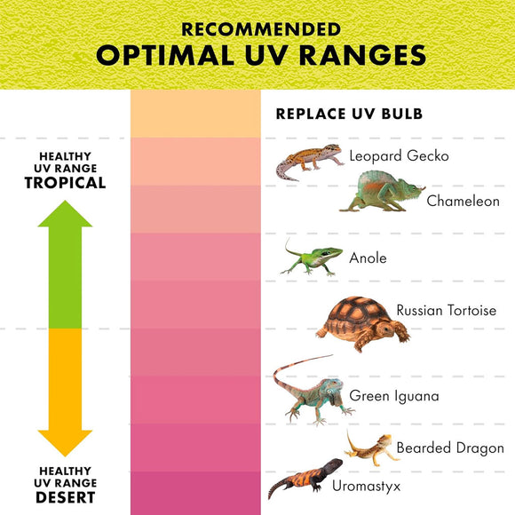 Zilla Rapid Sense UV Detecting Decor Crocodile Skull
