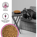 Bixbi Liberty Limited Ingredient Rancher's Red Dry Dog Food (4 lb)