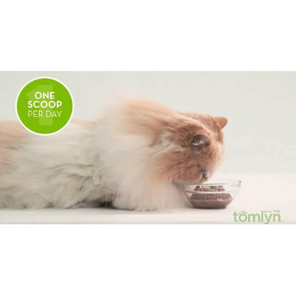 Tomlyn Immune Support L-Lysine Powder for Cats (3.5 oz)