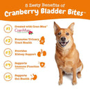 Zesty Paws Cranberry Bites Chicken Dog (90 ct)