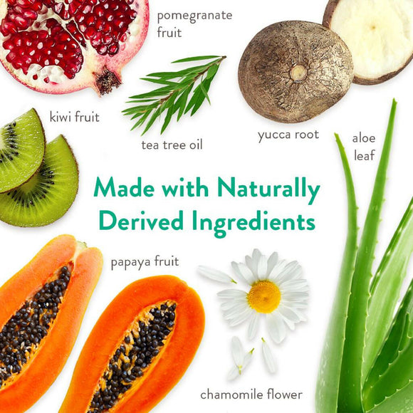 Tropiclean Oatmeal & Tea Tree Medicated Itch Relief Shampoo For Pets (20 oz)