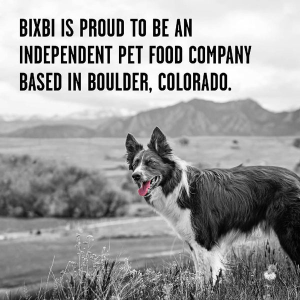 Bixbi Rawbble Limited Ingredient Grain-Free Pork Recipe Raw Coated Dry Dog Food (4 lb)