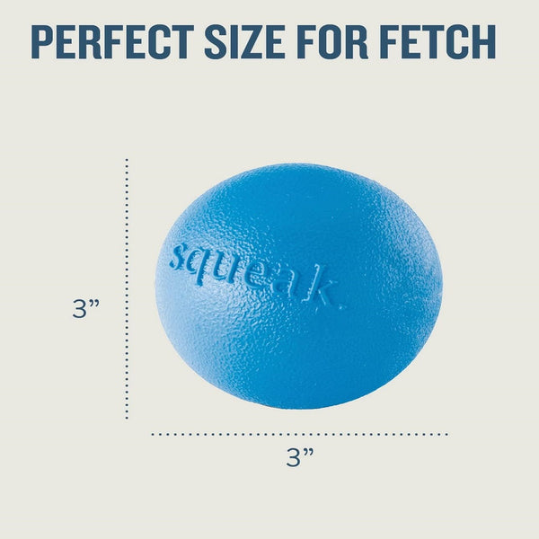 Outward Hound Planet Orbee Squeak Ball Fetch Toy Blue For Dog