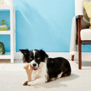 Ethical Bambone Wish Bone Chicken Flavor For Dogs (7")