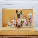 Outward Hound Hide-A-Squirrel Squeaky Brown Dog Toy (Medium)