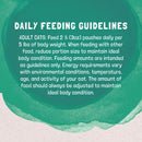 Daily feeding guidelines for adult cats on a green and beige background