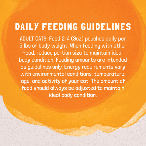 Daily feeding guidelines for adult cats on an orange background