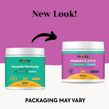 MYOS Feline Muscle & Joint Formula with Green Lipid Mussel, 198g (180 scoops) - 0