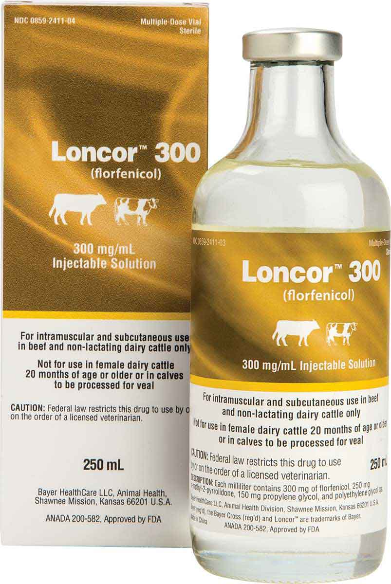 Loncor 300 (Florfenicol) Injectable Solution for Cattle