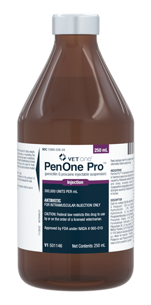 PenOne Pro (Penicillin G Procaine) Sterile Injection