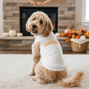 Doggie Design Little Pumpkin Pie Shirt for Dogs & Cats-2