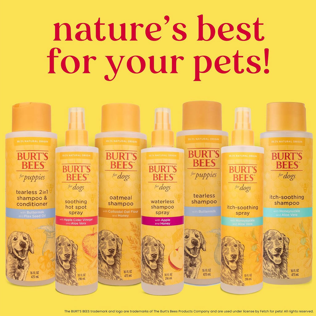 Burt's Bees Oatmeal Shampoo with Colloidal Oat Flour & Honey for Dogs