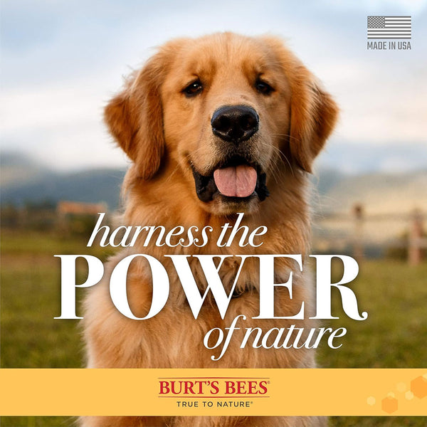 Burt's Bees Deodorizing Spray with Apple & Rosemary for Dogs