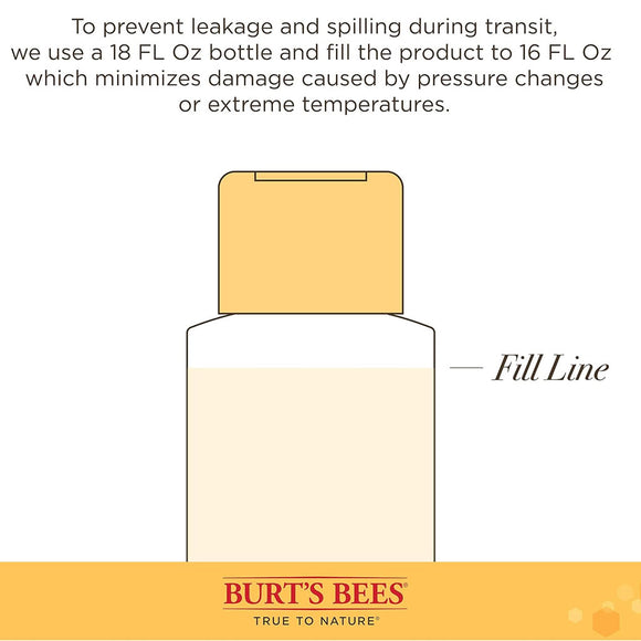 Burt's Bees Itch Soothing Shampoo with Honeysuckle & Aloe Vera