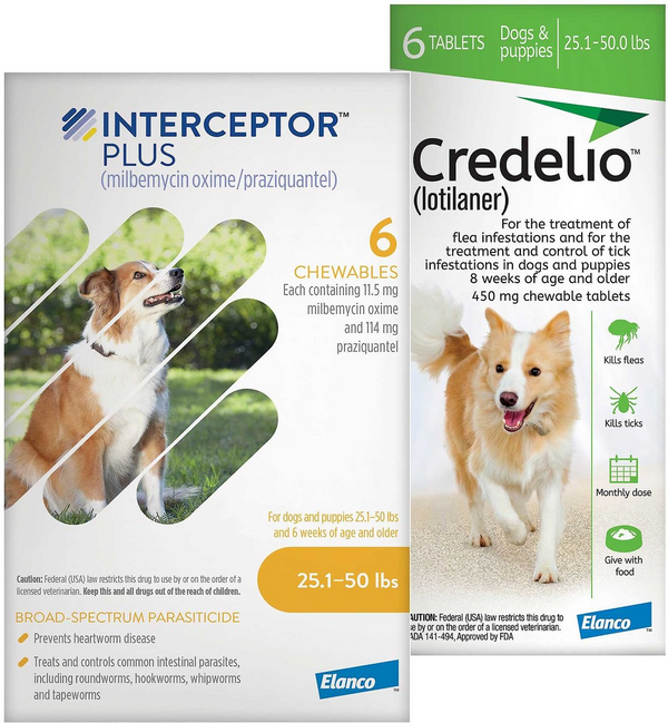 Credelio + Interceptor Plus 6-Month Bundle