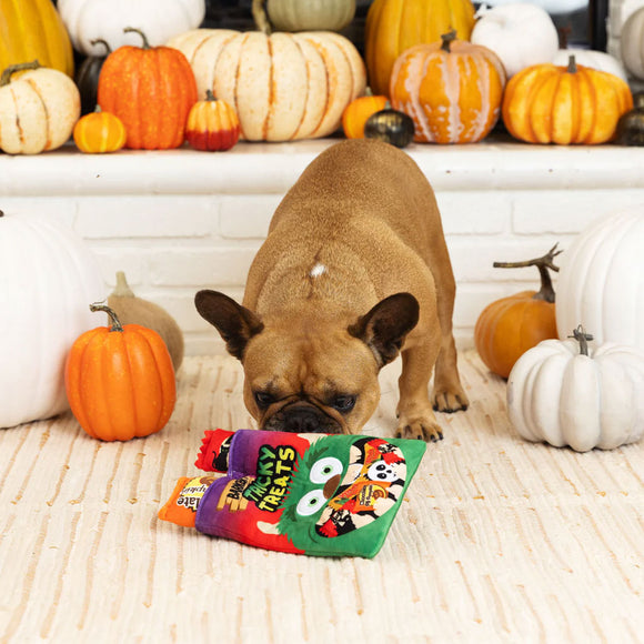 Dog playing with a colorful Halloween-themed toy surrounded by pumpkins.