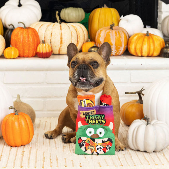 Dog with Halloween-themed treats in front of pumpkins