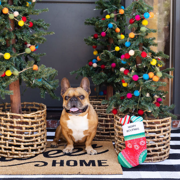 Dog sitting on a doormat with Christmas trees and a stocking in the background