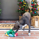 Dog playing with a Christmas-themed toy on a brick patio with decorated trees in the background.